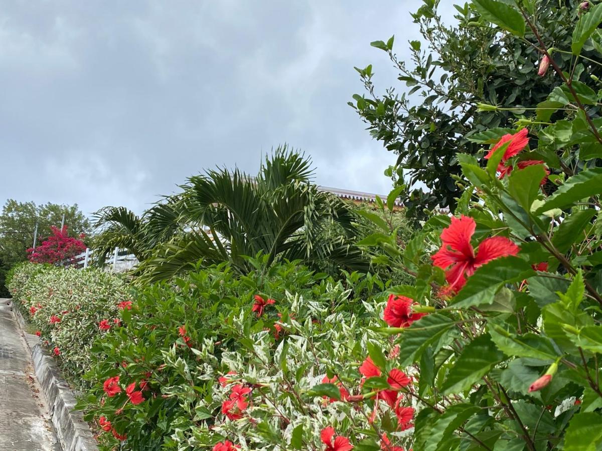 Locations Morne Aux Vents Apartment Fond Boucher Екстериор снимка